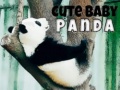 Hra Cute Baby Panda