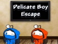 Hra Delicate Boy Escape