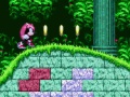 Hra Mighty & Ray In Sonic 2