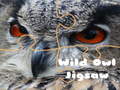 Hra Wild owl Jigsaw
