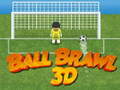 Hra Ball Brawl 3D