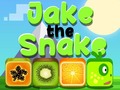 Hra Jake The Snake
