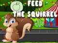 Hra Feed the squirrel