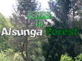 Hra Return To Alsunga Forest