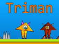 Hra Triman