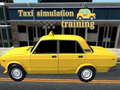 Hra Taxi simulation training