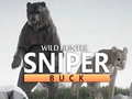 Hra Wild Hunter sniper buck