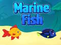 Hra Marine Fish