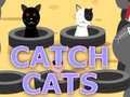 Hra Catch Cats