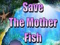 Hra Save The Mother Fish 