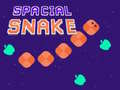 Hra Spacial Snake
