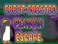 Hra Erect Crested Penguin Escape