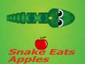 Hra Snake Eats Apple