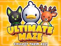 Hra Ultimate Maze! Collect Them All!