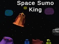 Hra Space Sumo King