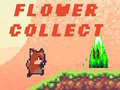 Hra Flower Collect