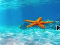 Hra Escape From Underwater Starfish