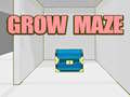 Hra Grow Maze