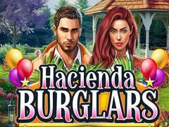 Hra Hacienda Burglars