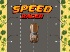 Hra Speed Racer