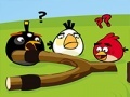 Hra Angry Birds Go Crazy