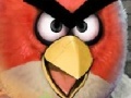 Hra Angry birds hidden stars