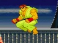 Hra Street Fighter World Warrior 2