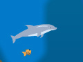 Hra Dolphin Olympics 2
