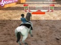 Hra Horse Jumping 3D
