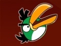 Hra Crazy Angry Birds