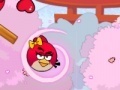 Hra Angry Birds Lover