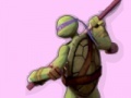 Hra Ninja Turtles Colours Memory