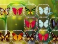 Hra Butterfly Connect