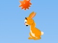 Hra Hopi: The Jumping Rabbit