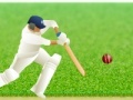 Hra Cricket Defend the Wicket!