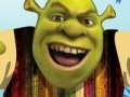 Hra Shrek