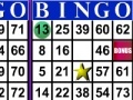 Hra Bingo 