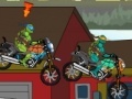 Hra Turtles racing