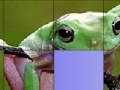 Hra Frog Slide Puzzle