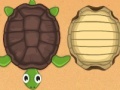 Hra Guess the turtle