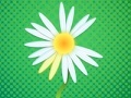Hra Daisy petals