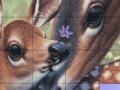 Hra Deers and Lovely Day Slide Puzzle