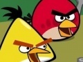 Hra Memory - Angry Birds