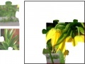 Hra Puzzle For Kids