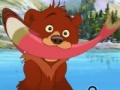 Hra Brother Bear Spot the Difference