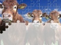 Hra Gorgeous Cows Jigsaw