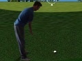 Hra Flash Golf 3D