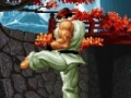 Hra The king of the fighters. Wing V1.8