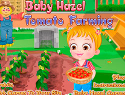 Dieťa Hazel. paradajka farma 