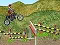 Hra Motorcycle Rally